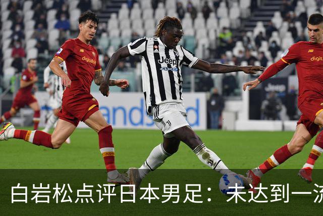 白岩松点评日本男足：未达到一流强队标准，仍需克服对荷兰的恐惧
